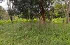 9 ac Land in Karen - 8
