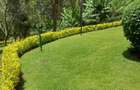 6 Bed House with En Suite at Karen Miotoni Road - 4