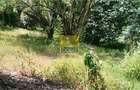 Commercial Property in Westlands Area - 4