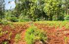 1 ac Residential Land at Muchatha - 6