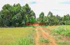 0.05 ha Residential Land at Kamangu - 4