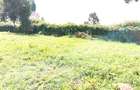 Commercial Land in Kinoo - 3