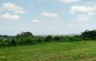 Residential Land in Runda - 3