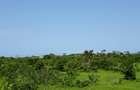 202,350 m² Land in Vipingo - 2