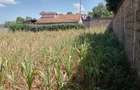 0.5 ac Residential Land at Near Quickmatt Supermarket Kahawa Sukari - 3