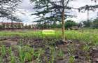 5 ac Commercial Land in South B - 2