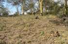 139 ac Land in Naivasha - 7