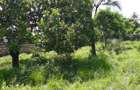 2,024 m² Residential Land in Bamburi - 2