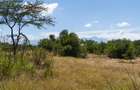 30.3 ac Land at Lolldaiga Valley - 3