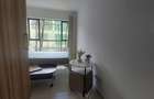 Studio Apartment with En Suite at Off Thika Road - 3