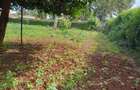 Residential Land at Runda - 5