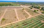 0.125 ac Land at Vipingo - 4
