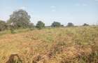 1 ha Residential Land in Tatu City - 7