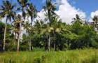 Land in Kilifi County - 7