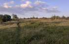 0.5 ac Residential Land in Nanyuki - 6