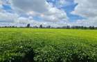 420 ac Land at Kiambu - 5