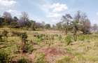 90 ac Land at Limuru - 1