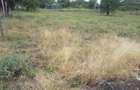 0.125 ac Residential Land in Ongata Rongai - 8