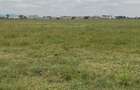 0.125 ac Residential Land at Konza - 4