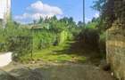 0.25 ac Residential Land in Ruaka - 1