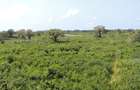 1,012 m² Residential Land at Diani Beach Road - 9