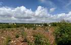 Land in Vipingo - 10