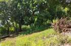 0.125 ac Residential Land at Diani Beach Road - 4
