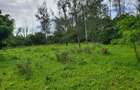 Commercial Land in Mtwapa - 7