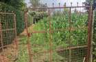 Residential Land in Kiserian - 4