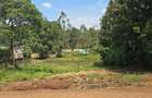 0.25 ac Residential Land at Paradise Lost Road - 4