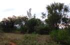 9 ac Land at Ithanga - 6