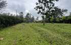 1 ac Land in Karen Hardy - 1