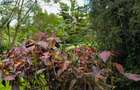Residential Land at Hardy Area - 5