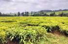 Land at Kiambu - 1