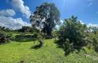 Land in Vipingo - 2
