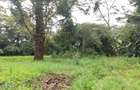 200 ac Land at Kilimani - 8