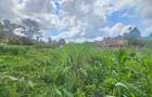 Residential Land in Runda - 3