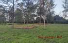 0.25 ac Residential Land at Diani Beach Road - 4