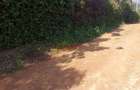 500 m² Commercial Land in Kikuyu Town - 6