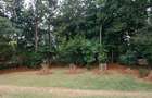 0.5 ac Residential Land at Behind Dp'S Official Residence - 5