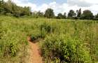 5 ac Land at Rhino Park Road - 3