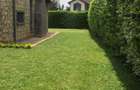 4 Bed Villa with En Suite in Kiambu Road - 5