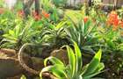 2 Bed House with En Suite in Gigiri - 4