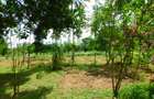 8 ac Land in Kikambala - 7