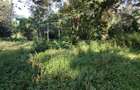 0.5 ac Land in Karen Hardy - 9