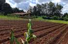 0.5 ac Residential Land in Karen - 9