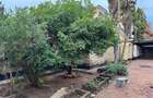 4 Bed House with En Suite in Shanzu - 19