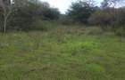 1.5 ac Land in Karen - 7