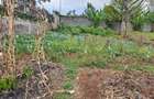 0.25 ac Land at Sigona - 1