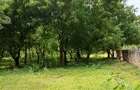 Land at Kilifi Town - 18